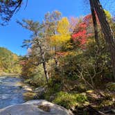 Review photo of Pisgah National Forest Carolina Hemlocks Campground by Dave V., July 1, 2021