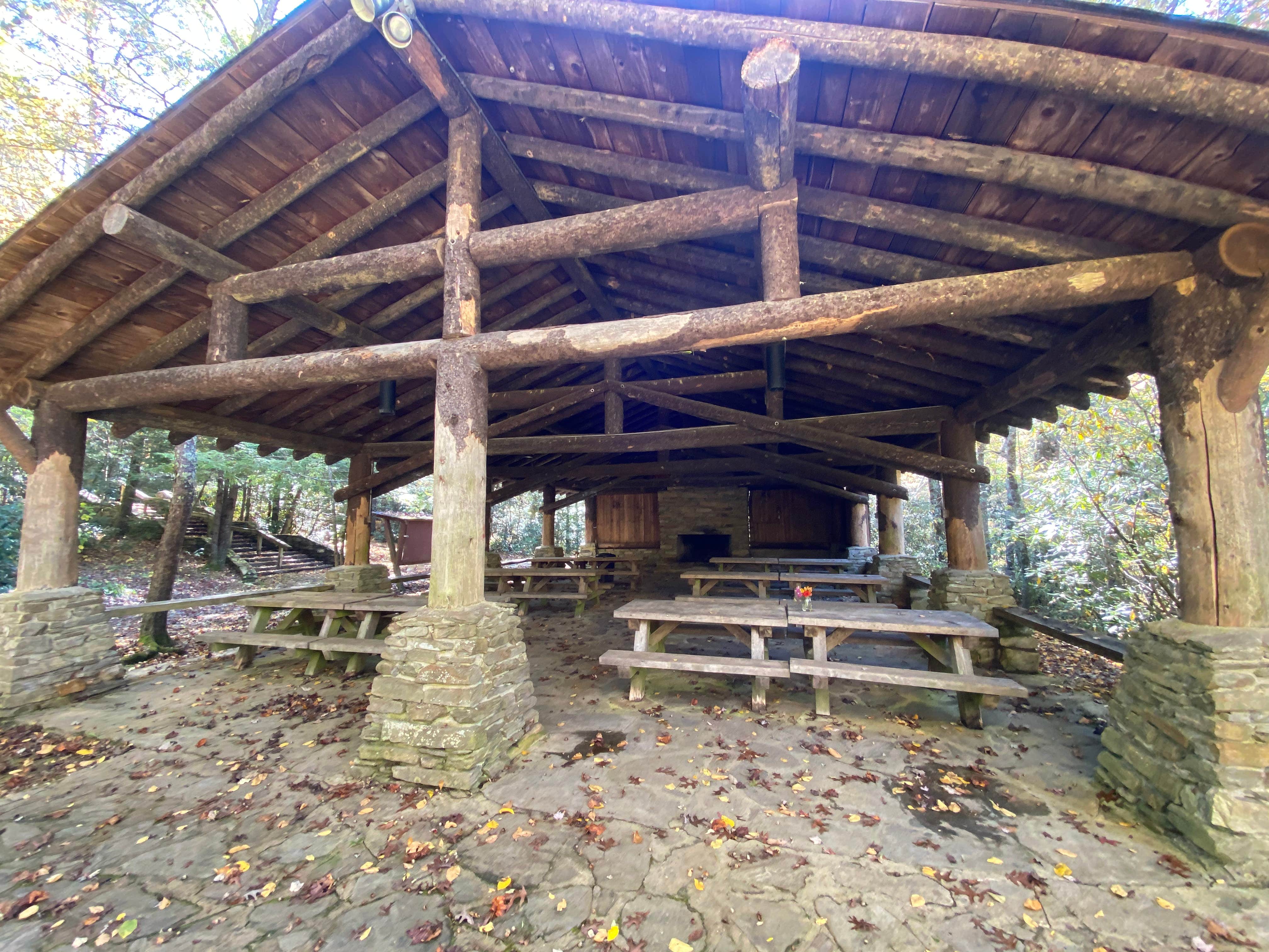 Camper submitted image from Pisgah National Forest Carolina Hemlocks Campground - 3