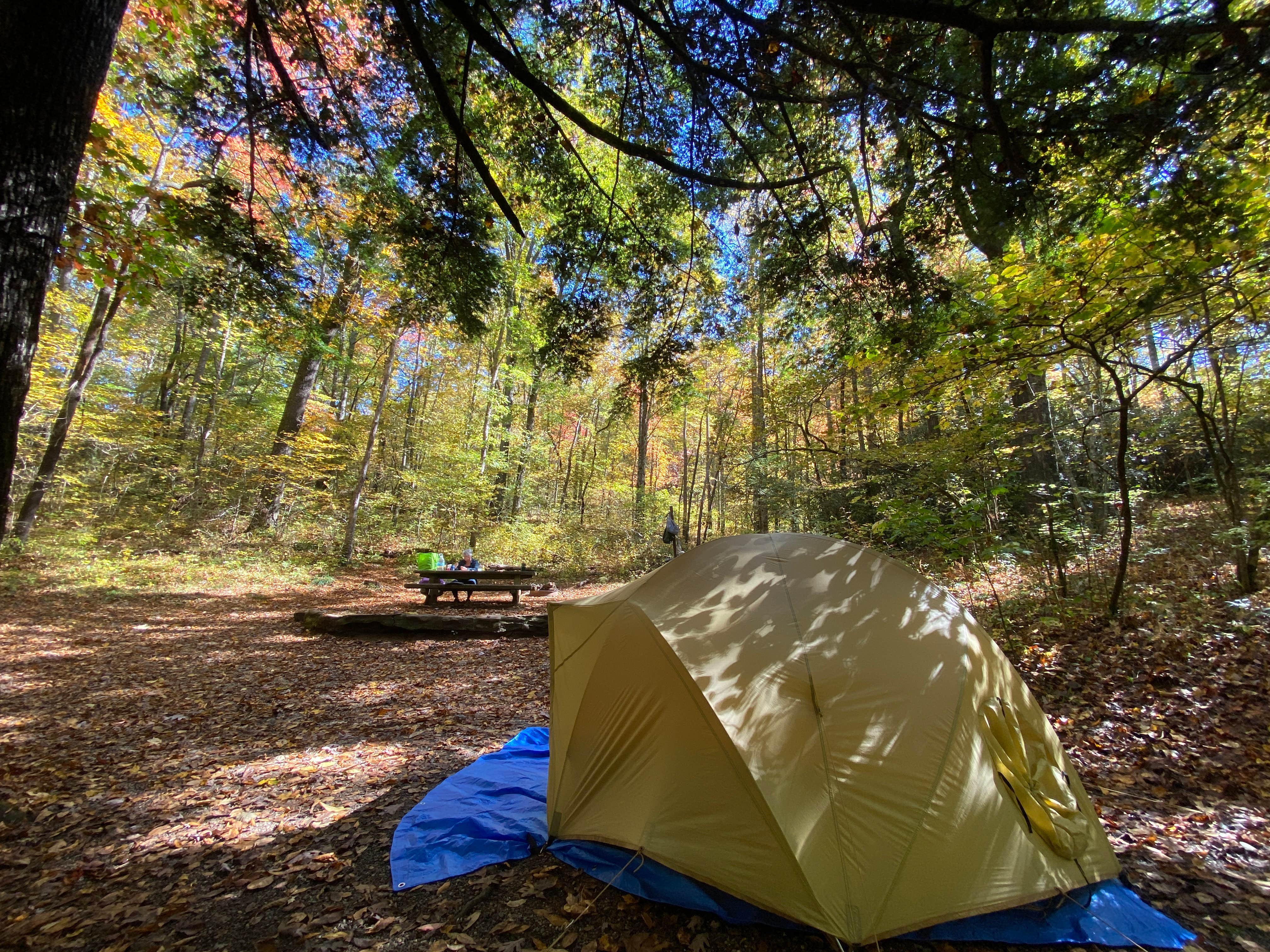 Dave V.'s photo at Pisgah National Forest Carolina Hemlocks Campground near Robbinsville, NC