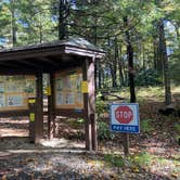 Review photo of Pisgah National Forest Carolina Hemlocks Campground by Dave V., July 1, 2021