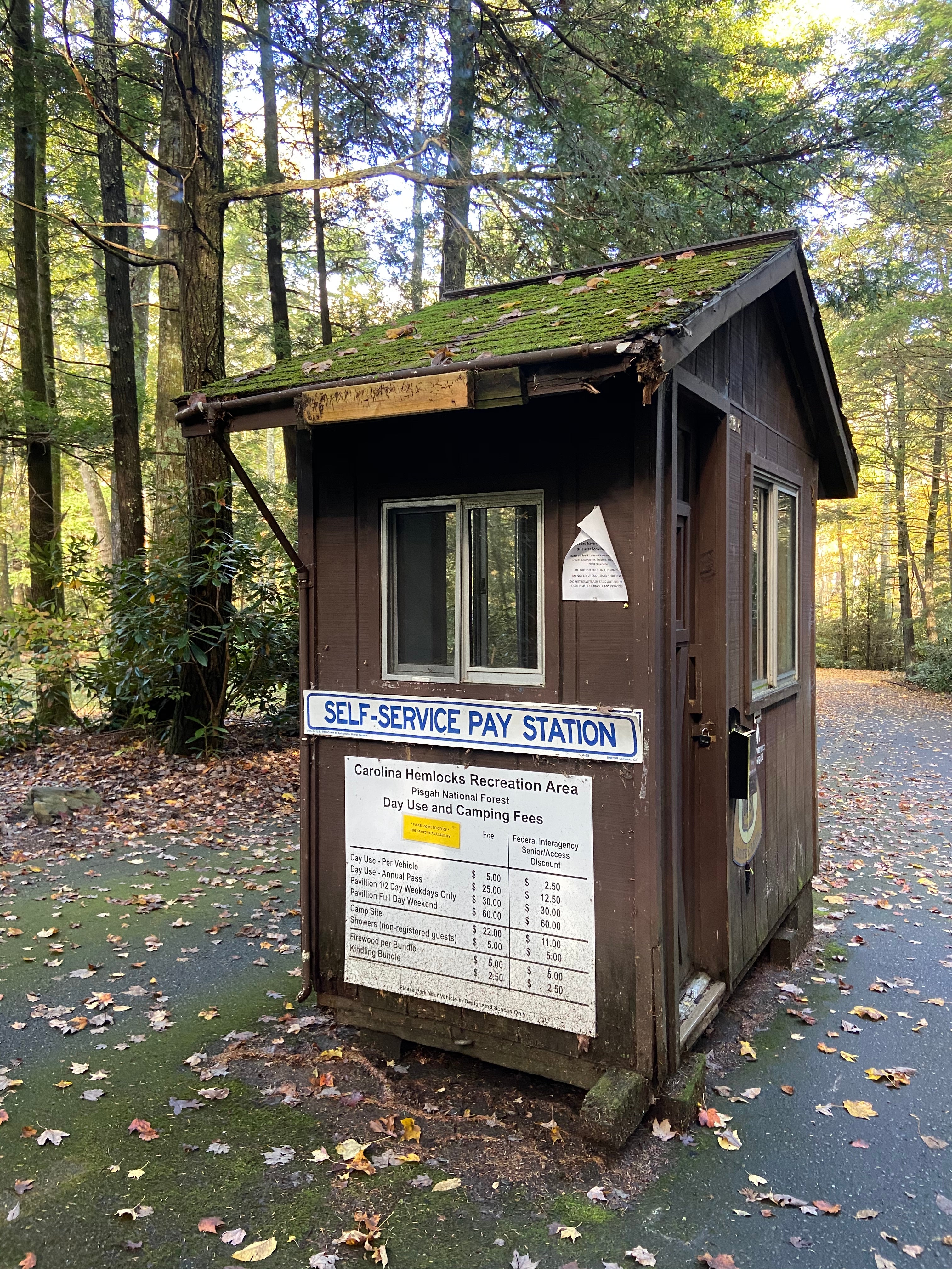 Camper submitted image from Pisgah National Forest Carolina Hemlocks Campground - 4