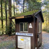 Review photo of Pisgah National Forest Carolina Hemlocks Campground by Dave V., July 1, 2021