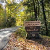 Review photo of Pisgah National Forest Carolina Hemlocks Campground by Dave V., July 1, 2021