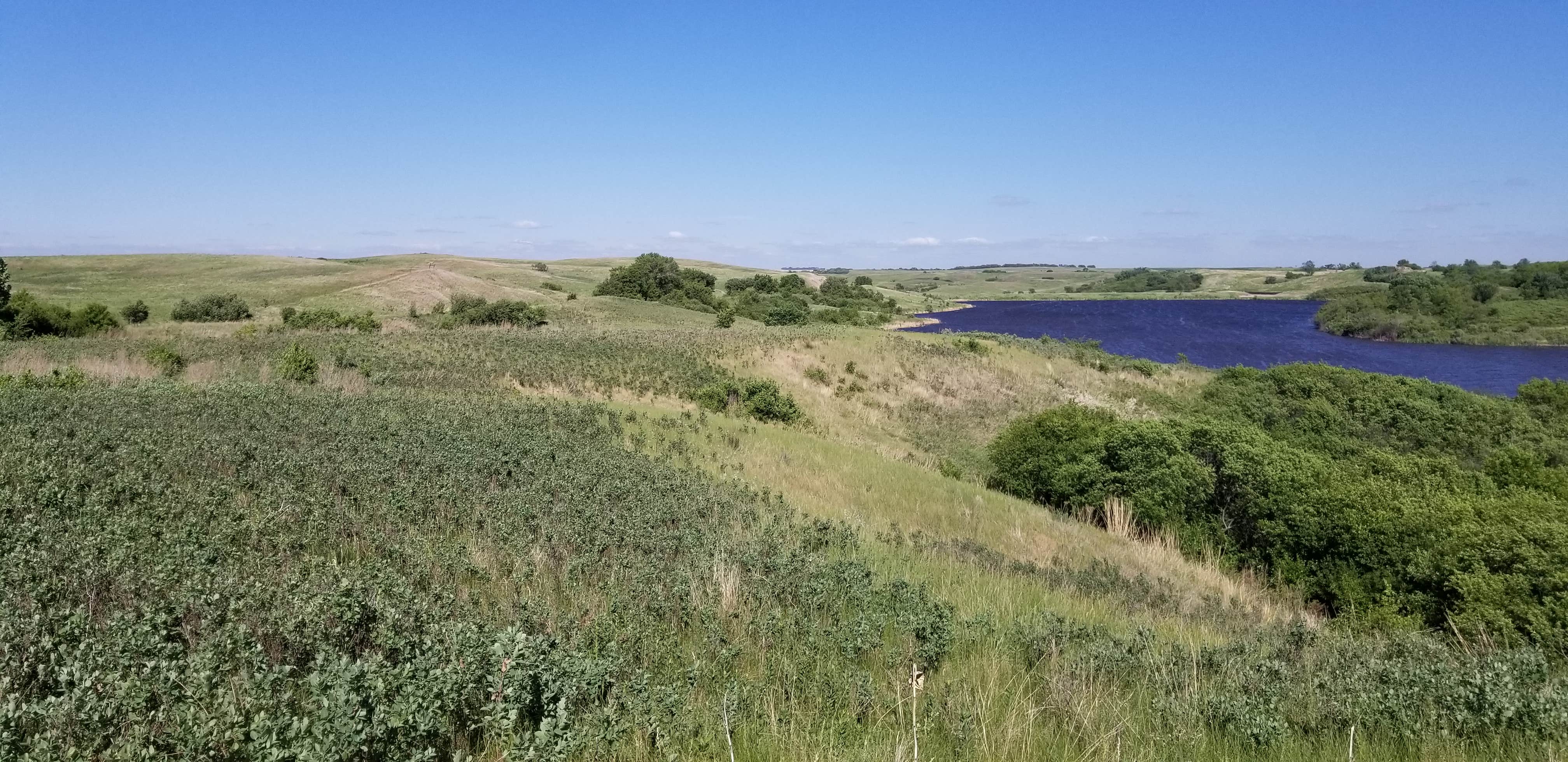 Clausen Springs Park Campground