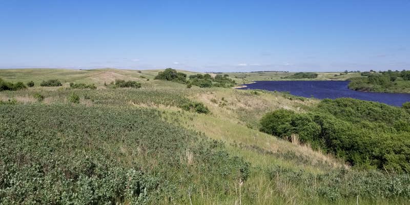 Camper submitted image from Clausen Springs Park Campground