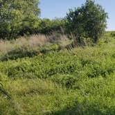 Review photo of Clausen Springs Park Campground by Jo Outdoors , July 1, 2021