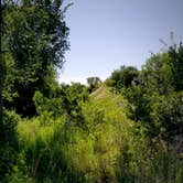 Review photo of Clausen Springs Park Campground by Jo Outdoors , July 1, 2021