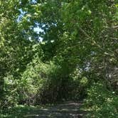 Review photo of Clausen Springs Park Campground by Jo Outdoors , July 1, 2021