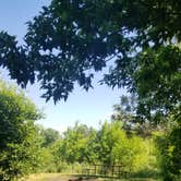 Review photo of Clausen Springs Park Campground by Jo Outdoors , July 1, 2021