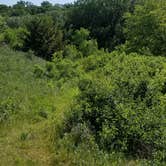 Review photo of Clausen Springs Park Campground by Jo Outdoors , July 1, 2021