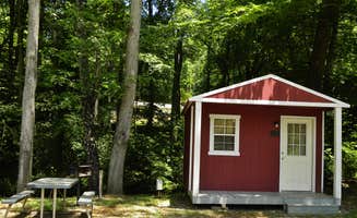 Myron C.'s photo of a cabin at Happy Holiday RV Village near Cullowhee, NC