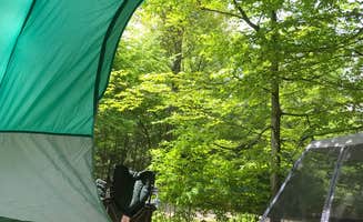 Lynn S.'s photo at Ricketts Glen State Park Campground near Shunk, PA