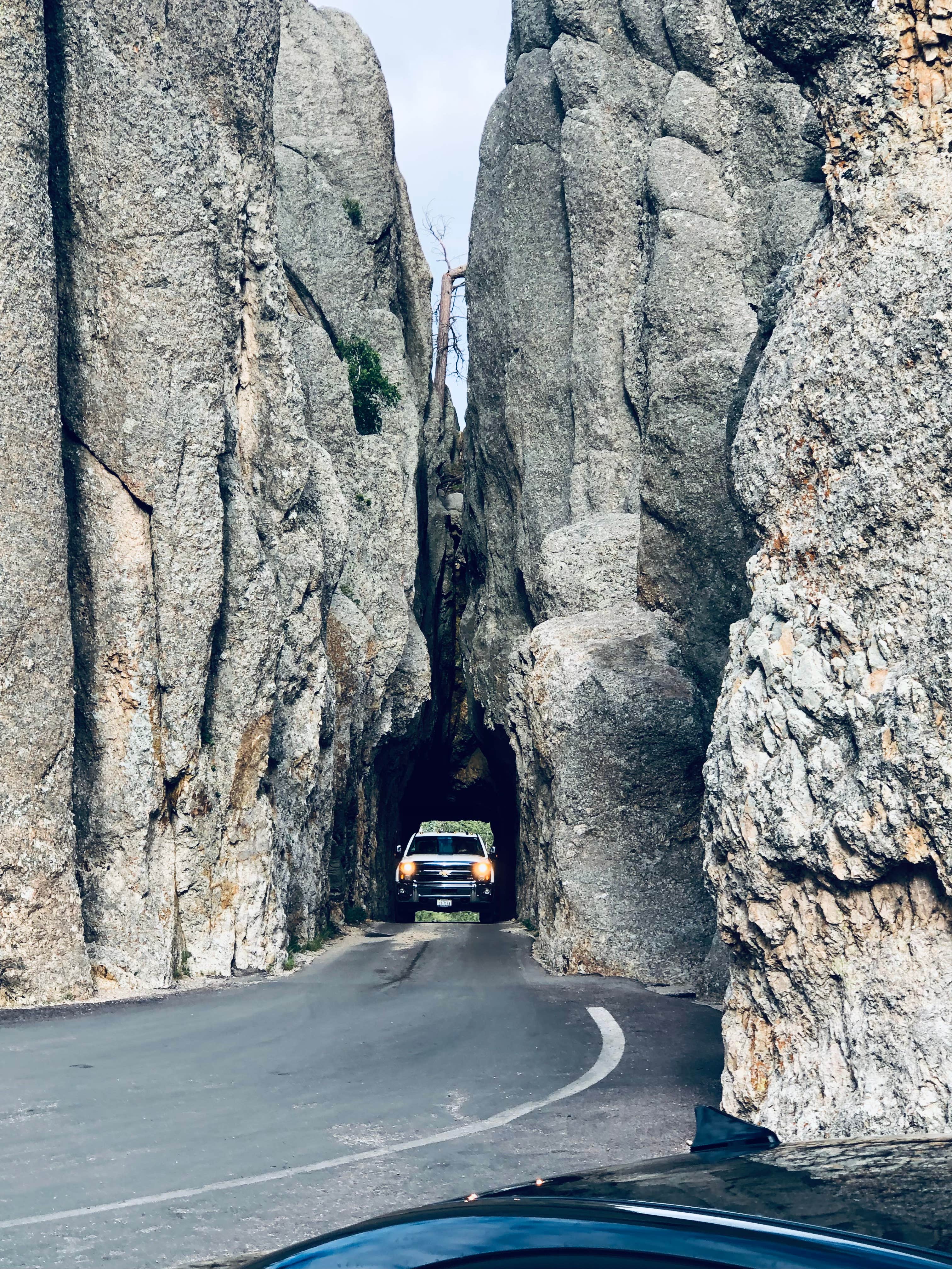Camping near Mount Rushmore KOA at Palmer Gulch: Black Hills Trailside Park & Resort, Hill City, South Dakota