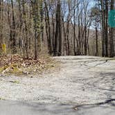 Review photo of Chestnut Hollow Horse Campground — Grayson Highlands State Park by Jean C., July 1, 2021