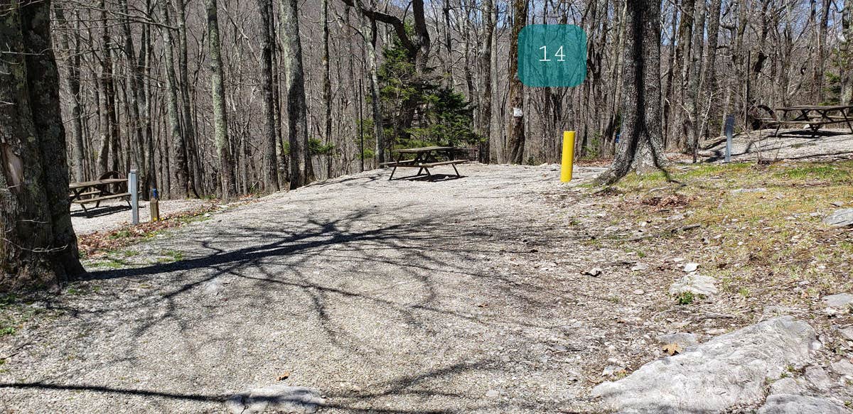 Camper submitted image from Chestnut Hollow Horse Campground — Grayson Highlands State Park - 4