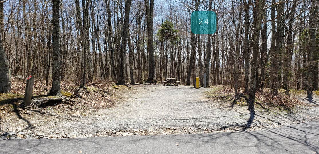 Grayson Highlands Chestnut Hollow Horse Campground Camping The Dyrt