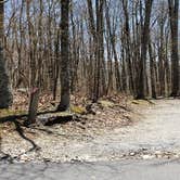 Review photo of Chestnut Hollow Horse Campground — Grayson Highlands State Park by Jean C., July 1, 2021