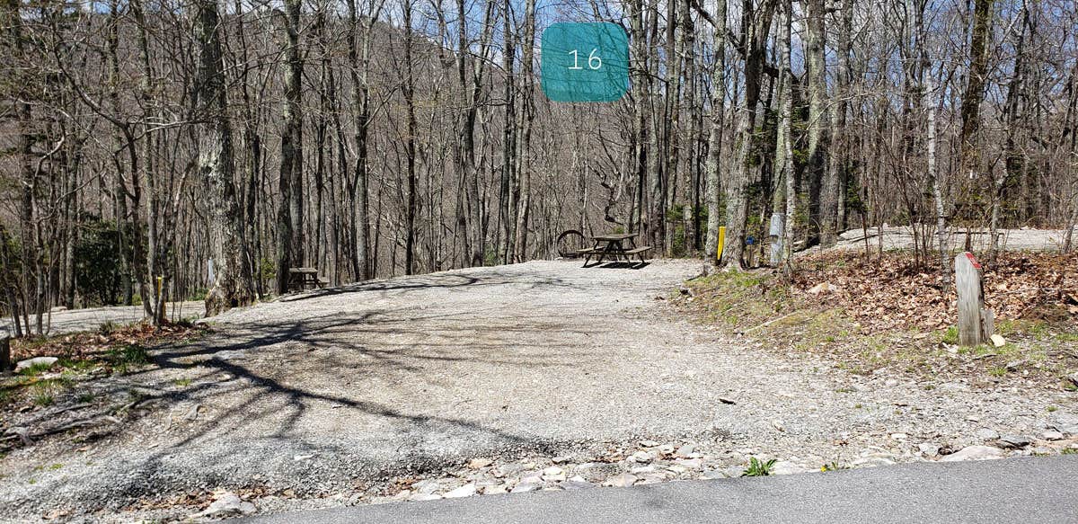 Grayson Highlands Chestnut Hollow Horse Campground The Dyrt