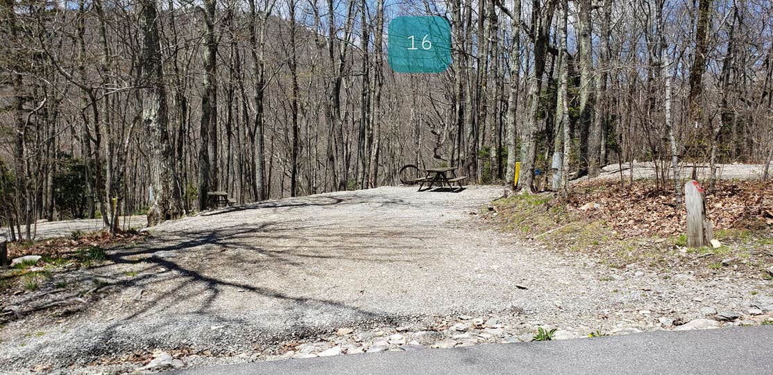 Grayson Highlands Chestnut Hollow Horse Campground Camping The Dyrt