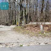 Review photo of Chestnut Hollow Horse Campground — Grayson Highlands State Park by Jean C., July 1, 2021