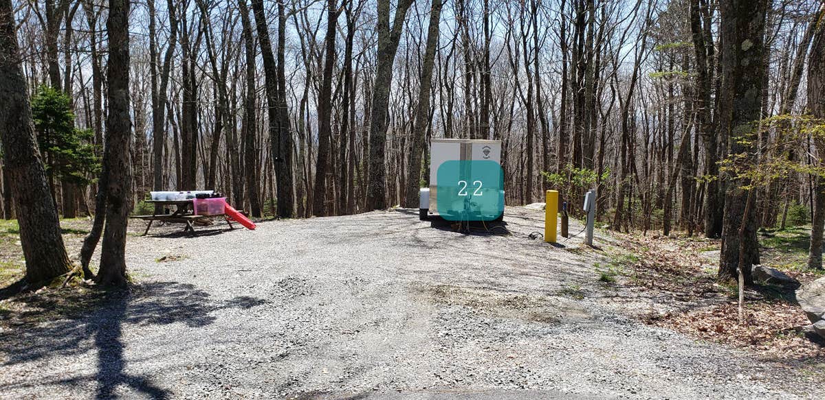 Review of Grayson Highlands Chestnut Hollow Horse Campground The Dyrt