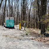 Review photo of Chestnut Hollow Horse Campground — Grayson Highlands State Park by Jean C., July 1, 2021