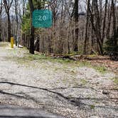 Review photo of Chestnut Hollow Horse Campground — Grayson Highlands State Park by Jean C., July 1, 2021