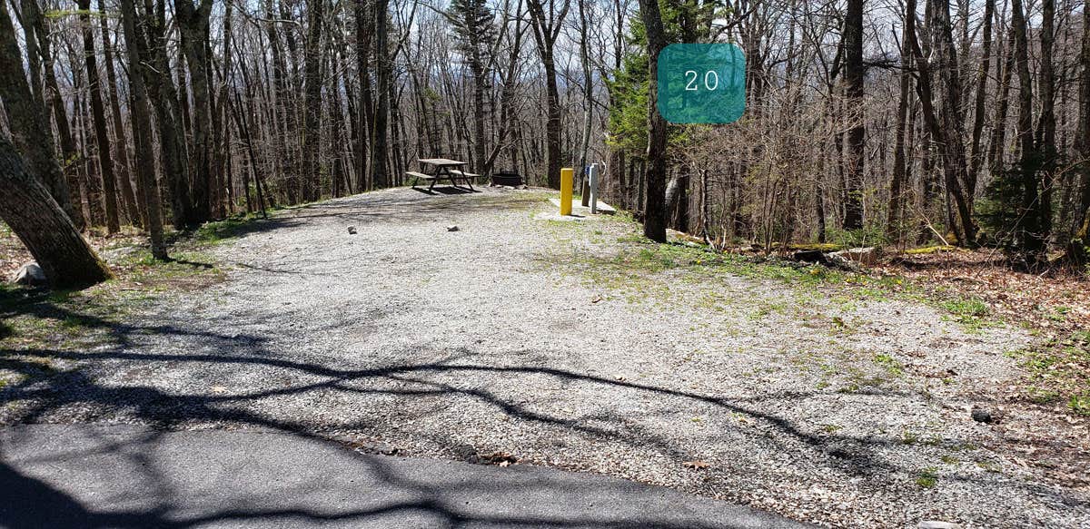 Camper submitted image from Chestnut Hollow Horse Campground — Grayson Highlands State Park - 4