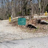 Review photo of Chestnut Hollow Horse Campground — Grayson Highlands State Park by Jean C., July 1, 2021