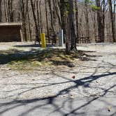 Review photo of Chestnut Hollow Horse Campground — Grayson Highlands State Park by Jean C., July 1, 2021