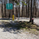 Review photo of Chestnut Hollow Horse Campground — Grayson Highlands State Park by Jean C., July 1, 2021