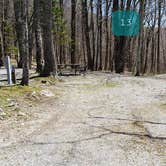 Review photo of Chestnut Hollow Horse Campground — Grayson Highlands State Park by Jean C., July 1, 2021