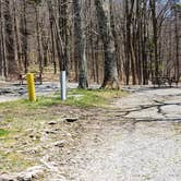 Review photo of Chestnut Hollow Horse Campground — Grayson Highlands State Park by Jean C., July 1, 2021