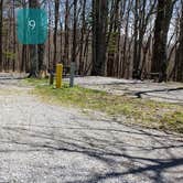 Review photo of Chestnut Hollow Horse Campground — Grayson Highlands State Park by Jean C., July 1, 2021