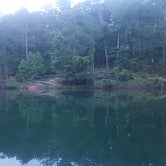 Review photo of Red Top Mountain State Park Campground by Brandon E., June 12, 2018