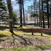 Review photo of Chestnut Hollow Horse Campground — Grayson Highlands State Park by Jean C., July 1, 2021