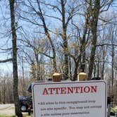 Review photo of Chestnut Hollow Horse Campground — Grayson Highlands State Park by Jean C., July 1, 2021