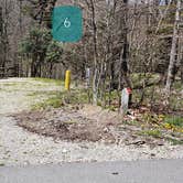 Review photo of Chestnut Hollow Horse Campground — Grayson Highlands State Park by Jean C., July 1, 2021