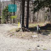 Review photo of Chestnut Hollow Horse Campground — Grayson Highlands State Park by Jean C., July 1, 2021