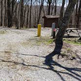 Review photo of Chestnut Hollow Horse Campground — Grayson Highlands State Park by Jean C., July 1, 2021