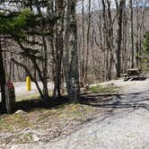 Review photo of Chestnut Hollow Horse Campground — Grayson Highlands State Park by Jean C., July 1, 2021