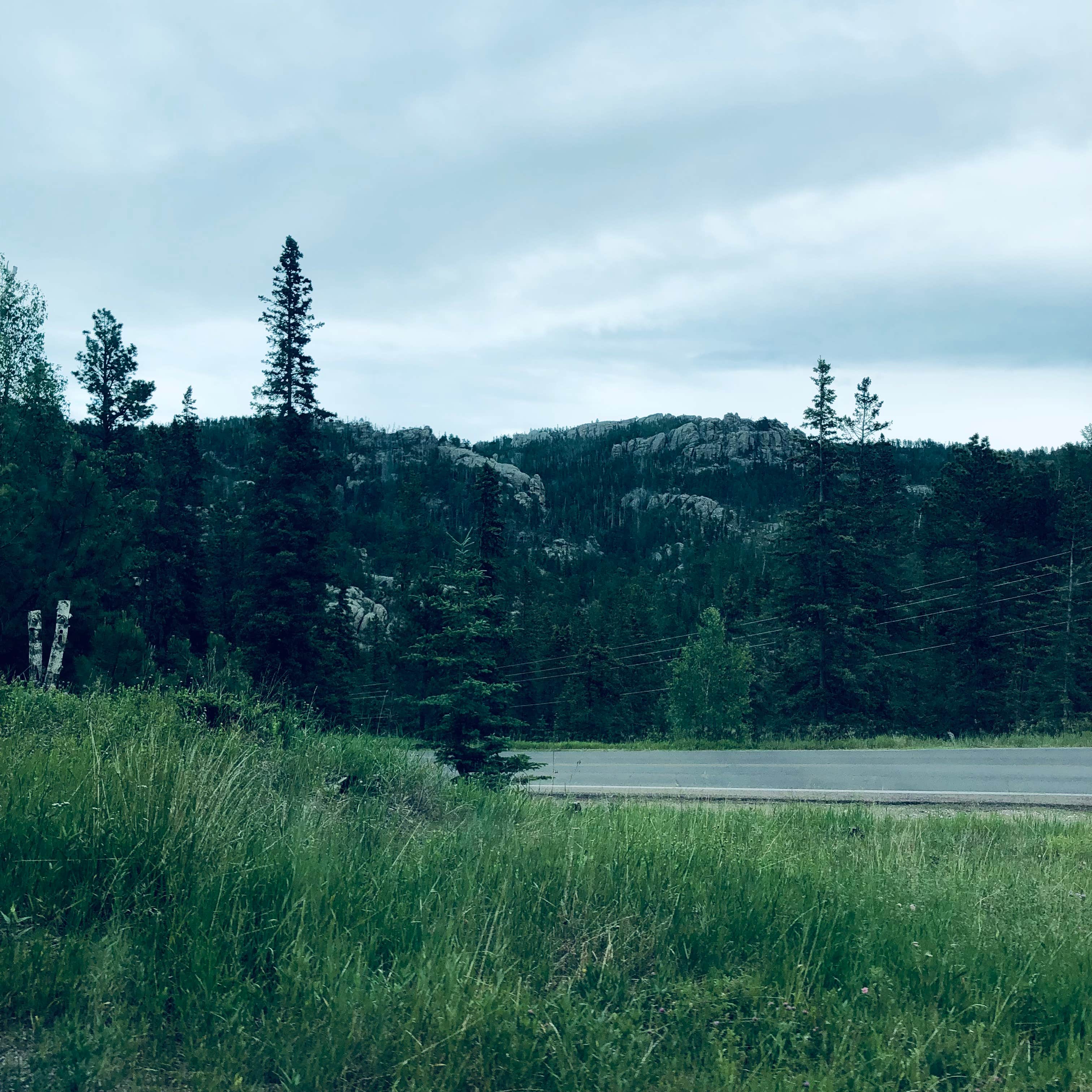 Camper submitted image from Stockade South Campground — Custer State Park - 4