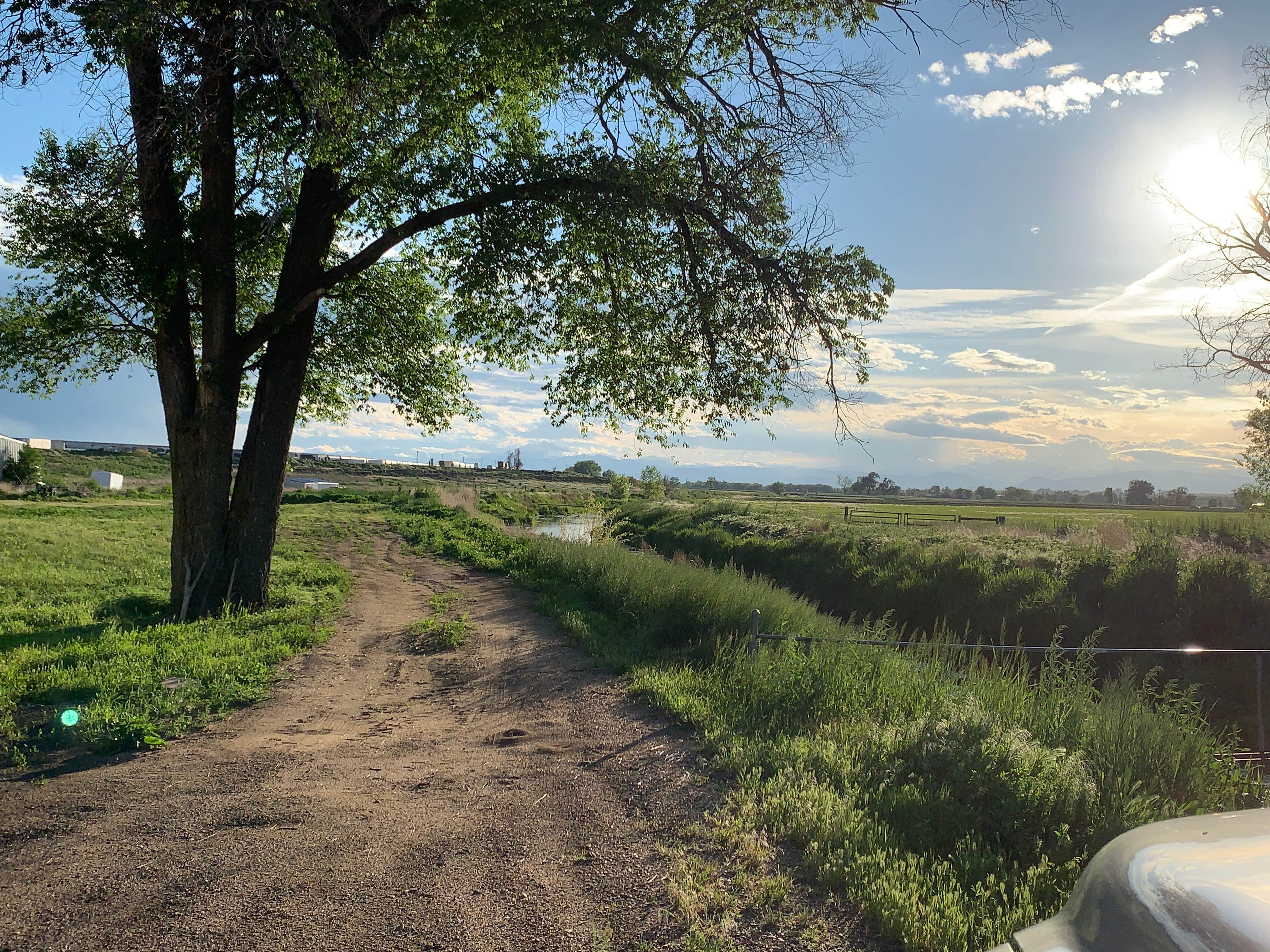 Camper submitted image from Northern Colorado Farmstead - 3