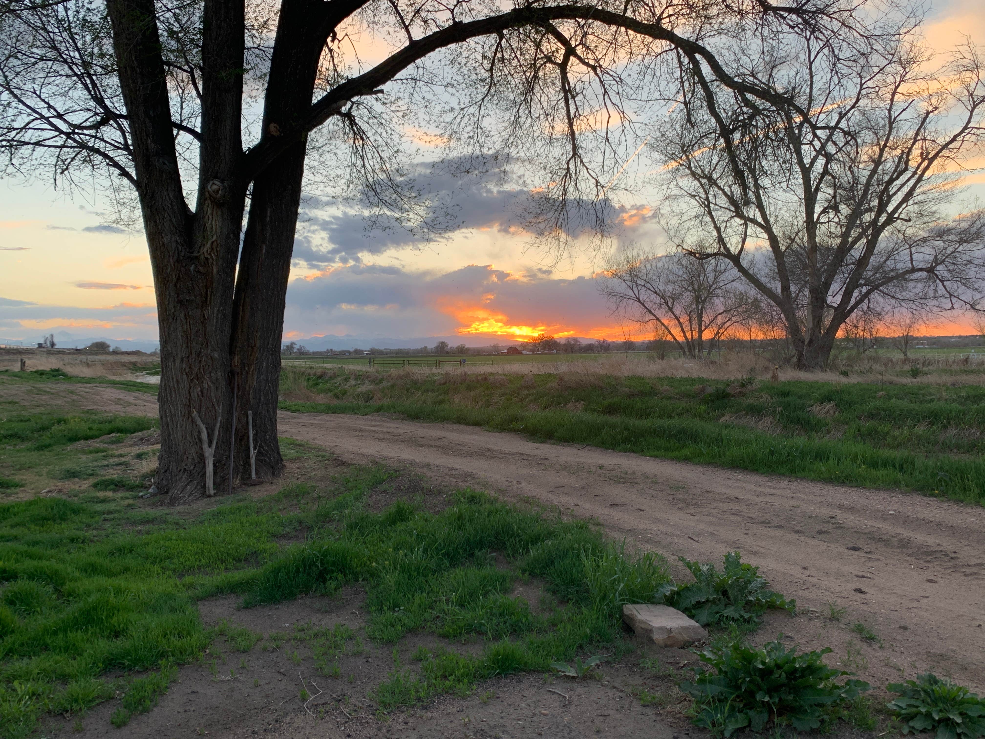 Camper submitted image from Northern Colorado Farmstead - 2