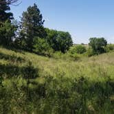 Review photo of Clausen Springs Park Campground by Jo Outdoors , July 1, 2021