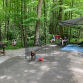 Review photo of Roan Mountain State Park Campground by Jenny T., July 1, 2021