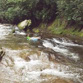 Review photo of Roan Mountain State Park Campground by Jenny T., July 1, 2021