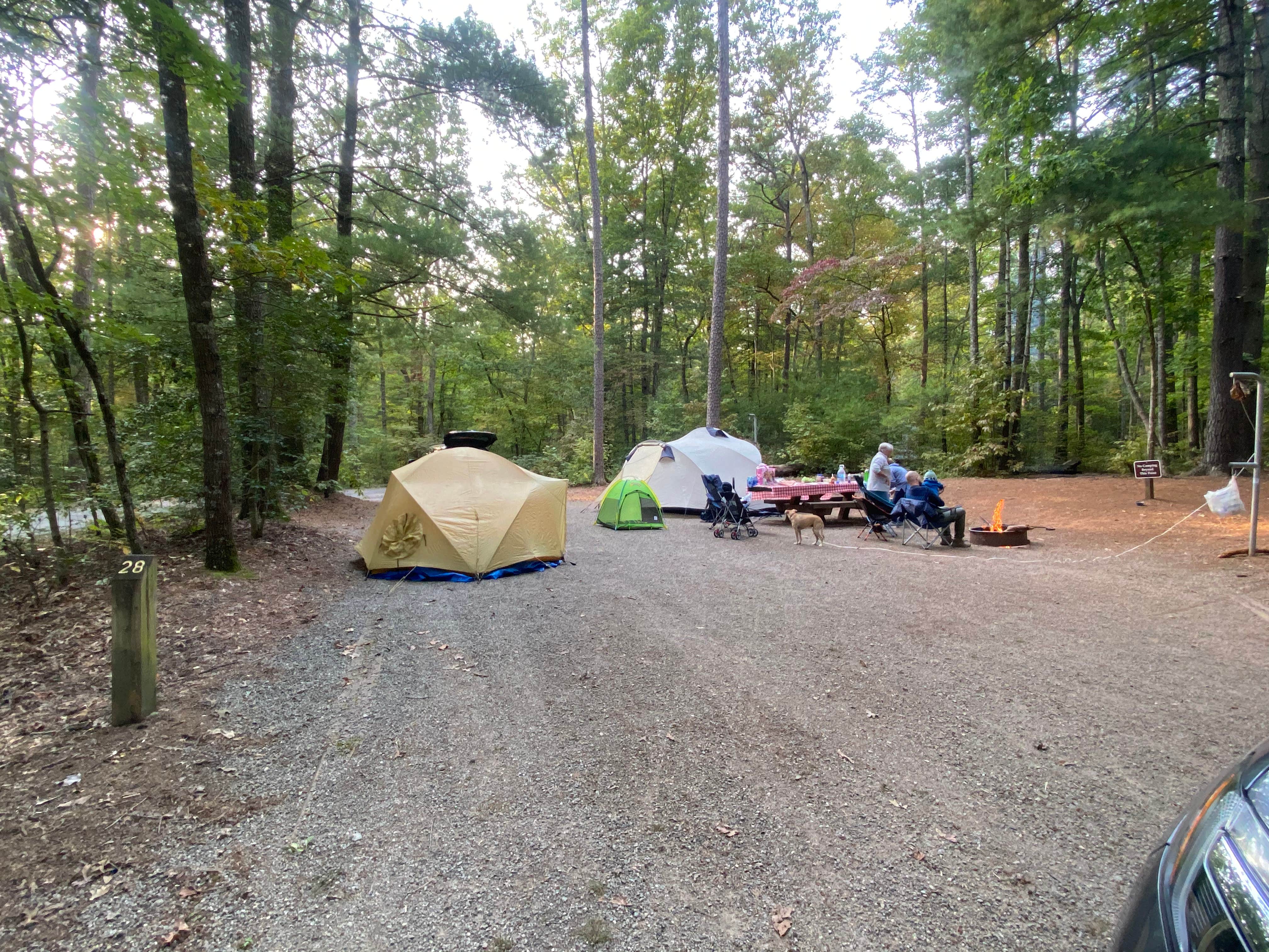 Dave V.'s photo at Lake Powhatan — National Forests In North Carolina near Biltmore Forest, NC