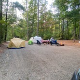 Review photo of Lake Powhatan Campground by Dave V., July 1, 2021