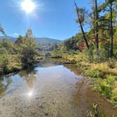 Review photo of Lake Powhatan — National Forests In North Carolina by Dave V., July 1, 2021